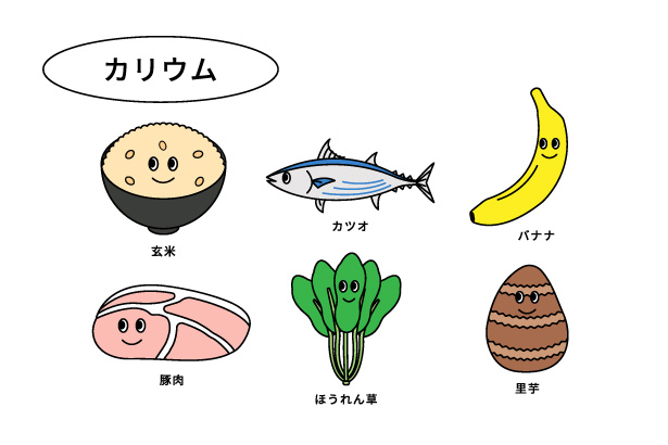 カリウムを多く含む食材のイラスト