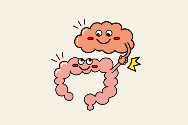 腸と脳が握手するイラスト