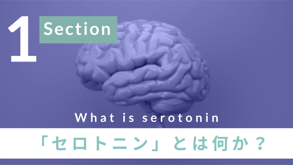 「セロトニン」とは何か