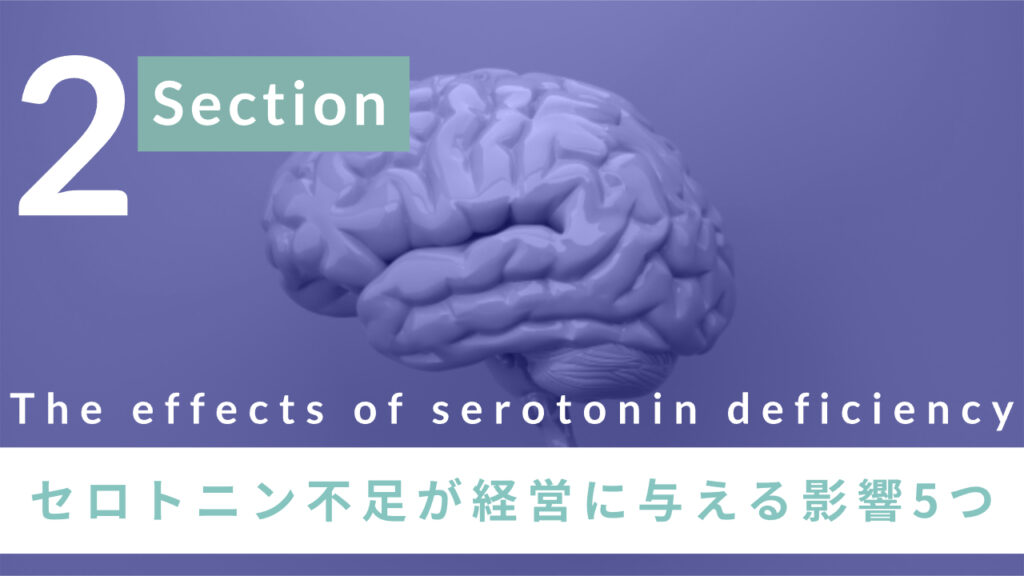 セロトニン不足が経営に与える影響5つ
