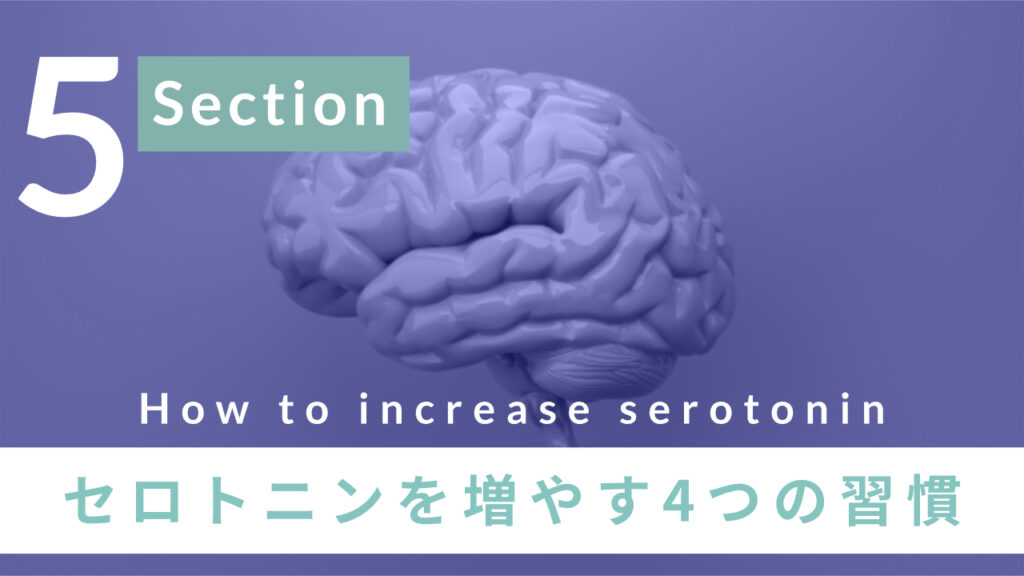 セロトニンを増やす４つの習慣