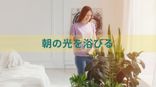 女性が部屋で日光を浴びながら植物に水やりをしている様子「朝の光を浴びる」